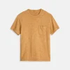 Botanical Dye Standard Pocket Tee