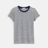 Prospect Tee In Stripe