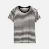 Prospect Tee In Stripe