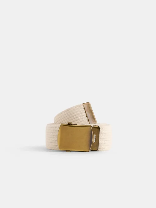 Solid Web Belt