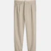 Standard Pleated Pant In Cotton Linen