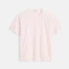 Standard T Shirt In Slub Cotton